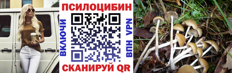 сколько стоит  Соликамск  Галлюциногенные грибы ЛСД 